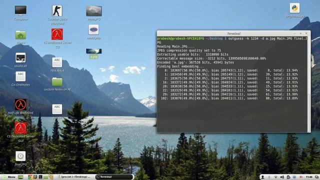 Hide image inside image using outguess (on Linux Mint) смотреть онлайн
