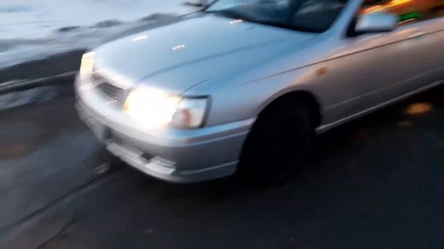 Ниссан Блюберд