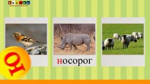 Алфавит Учимся Читать с Кругляшиком Буквы и Звуки - Буква Ю