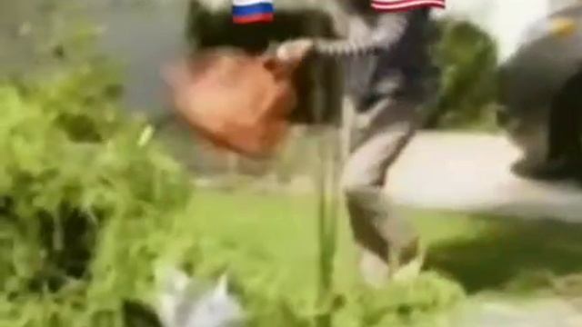 мини ролик смотреть онлайн