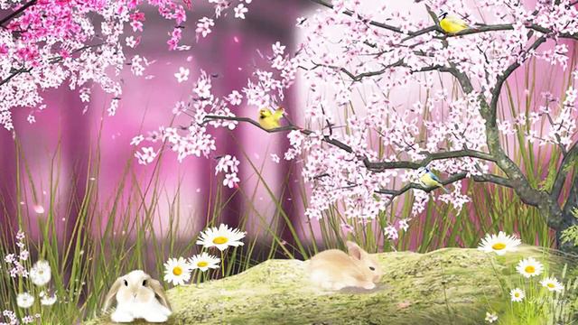 Relaxing Music & Birds Singing   Peaceful Piano Music By Soothing Relaxation