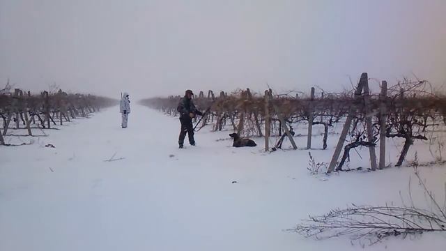 VID 20160117 090501 смотреть онлайн