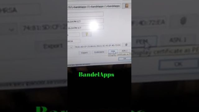 Export the certificate for the key to pem смотреть онлайн