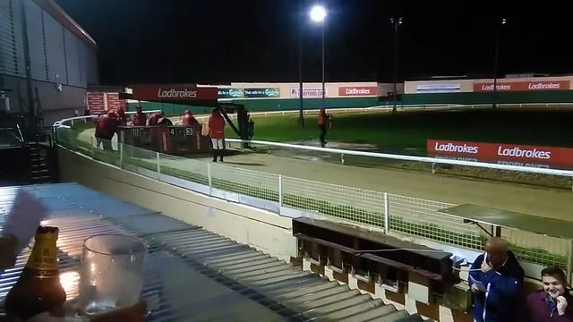 #Dogs #собаки #бегут смотреть онлайн