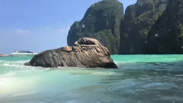 Alekseev Дельфины смотреть онлайн