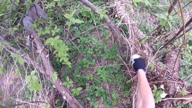 Борьба за чистый берег! Челлендж, от канала Рыбалка с Денчиком! Принял, выполнил и передал! смотреть онлайн