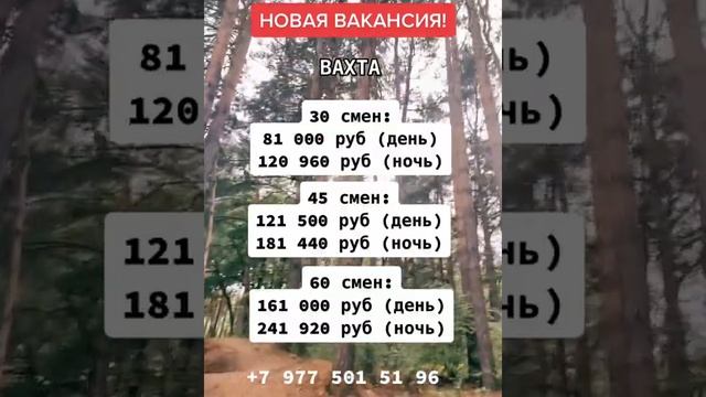 работа в Москве - вакансии от прямых работодателей с проживанием вахта смотреть онлайн