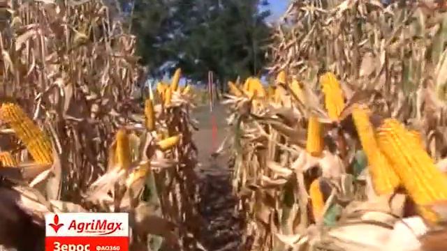 AGRIMAX Зерос - Сила Гибридов! смотреть онлайн