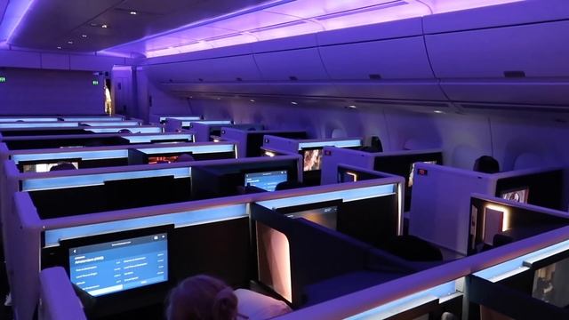 SO GOOD! Delta A350 Business Class from Detroit to Amsterdam (Delta One Suite) смотреть онлайн