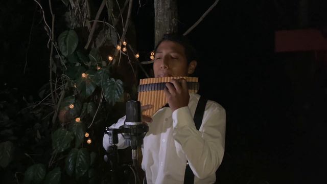 POR LA VIA DOLOROSA - PAN FLUTE смотреть онлайн