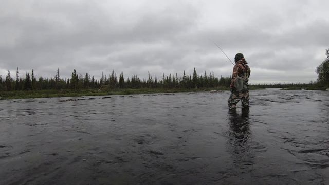 Хариус на тенкара GHAD1006 смотреть онлайн