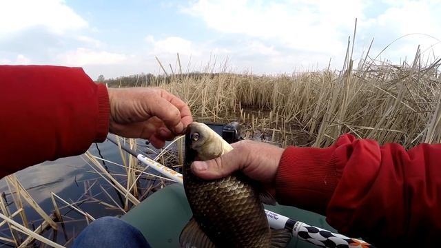 Ловля карася на поплавочную удочку | Поклёвки карася Full HD смотреть онлайн