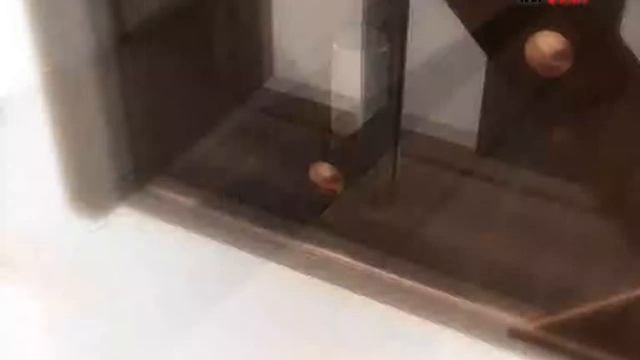 Рекламный ролик "на страже Вашего спокойствия" смотреть онлайн