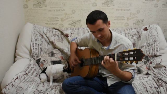 Rammstein - Mutter - fingerstyle guitar cover смотреть онлайн