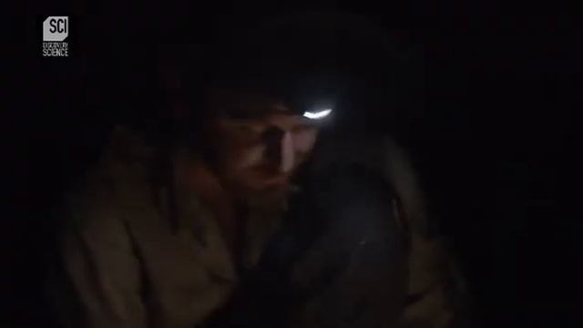 Хакер в дикой природе - Гавайи смотреть онлайн