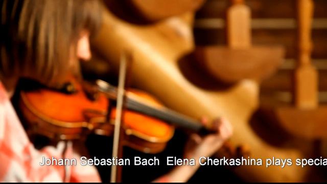 Master Violin Laubach LIM 988 V смотреть онлайн
