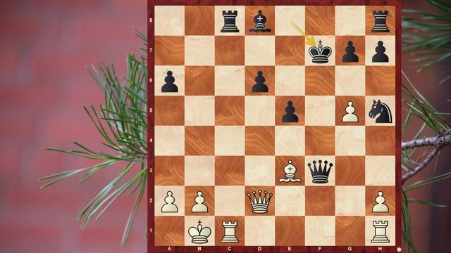 Инструкция инициативной игры в шахматы смотреть онлайн