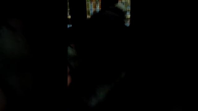 Приласкай енота смотреть онлайн
