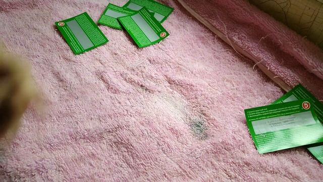 Лотерея от Пятерочки - Выиграть получилось