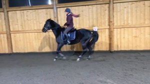 ЛОШАДЬ СТАЛА БРЫКАТЬСЯ/ ПАДЕНИЕ/СТРАХИ