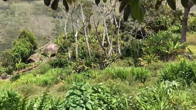 Константин Анисимов и Верона Конрад о поездке на остров Папуа смотреть онлайн