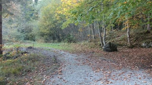 Щука осенью, 5 секретов... Узнайте Когда Щука Всегда Будет Клевать… SeMano TV смотреть онлайн