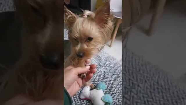 Одиночество.Тоска смотреть онлайн