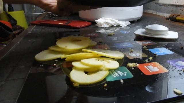 TESTE ? DU DÉSHYDRATEUR ALIMENTAIRE "SILVER CREST®️" DE CHEZ LIDL (UNBOXING) смотреть онлайн