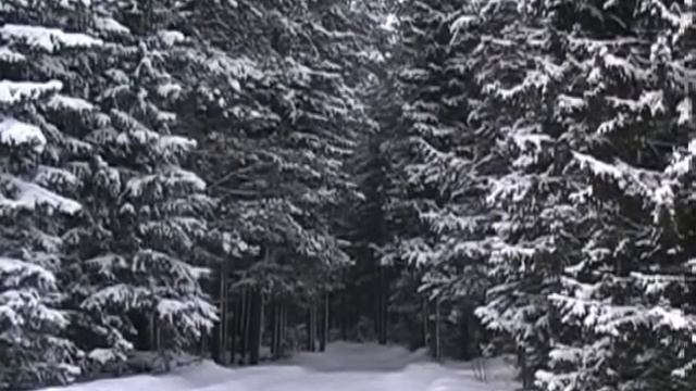 Любимое место, родные лица смотреть онлайн