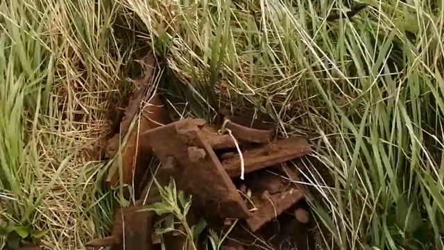 Весенний выход на узкоколейную железную дорого..( Архив.) смотреть онлайн