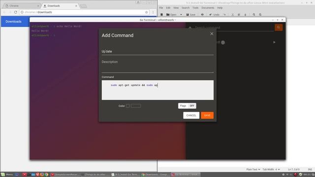 9.3. Install Go Terminal - Things to Do After Linux Mint 18 Installation смотреть онлайн