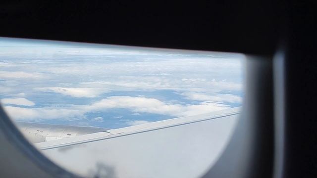 Взлёт из Москвы и посадка в Сочи на Airbus A321-200 Ural Airlines смотреть онлайн