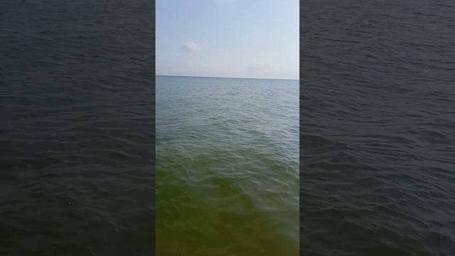 Море в Кучугурах,полный штиль! смотреть онлайн