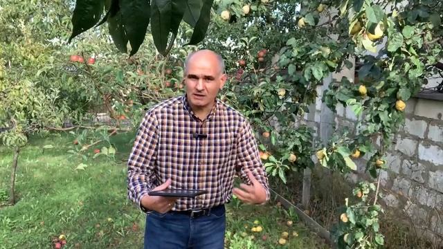 Почему мы не приносим плод? | Пастор Василе Филат смотреть онлайн