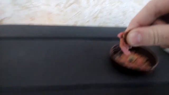 Кормим рыбок/Как кушают рыбки/Чем Кормить Рыб/Какие Бывают Рыбы/ смотреть онлайн