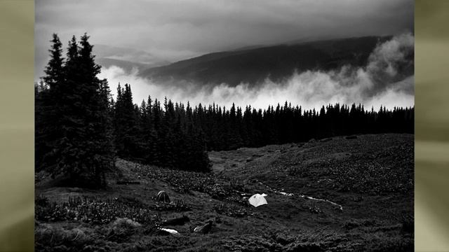 карантин на варгане смотреть онлайн