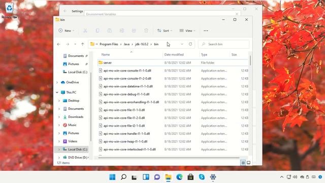 Windows 11'e JAVA Nasıl Kurulur смотреть онлайн