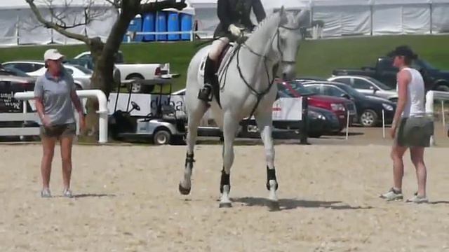 Rolex 2009 - Bettina Hoy & Ringwood Cockatoo warming up 2 смотреть онлайн