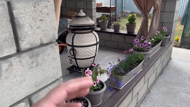 пионовый МИТЯ и мы с МАСЕЙ готовимся к гостям и уходим на ВЫХОДНЫЕ не теряйте НАС смотреть онлайн