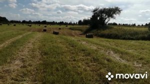 Деревенская жизнь! Сенокос на мини-ферме!