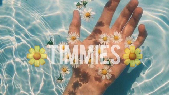🤙🏿Эстетичная музыка😟//🌼Грустная английская музыка🌼//✋🏿Песни Timmies😟//😔Alena Chamomile✨ смотреть онлайн