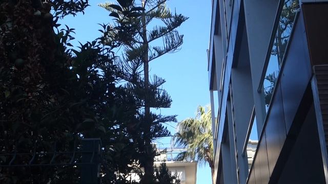 Клеопатра атлас отель 4 звезды - Kleopatra Atlas City 4* смотреть онлайн