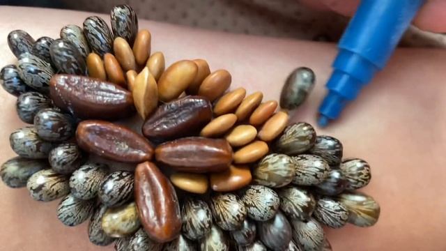 Remove flat tamarind seeds смотреть онлайн