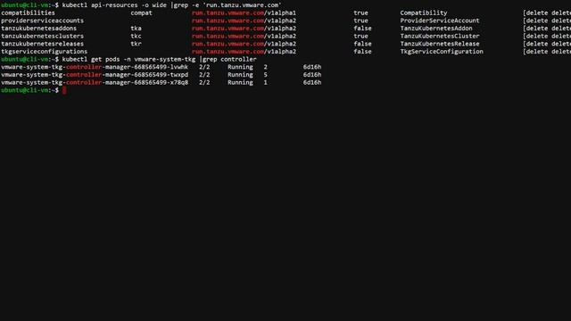 Tanzu Kubernetes Grid Service Troubleshooting Deep Dive - Part 1 смотреть онлайн