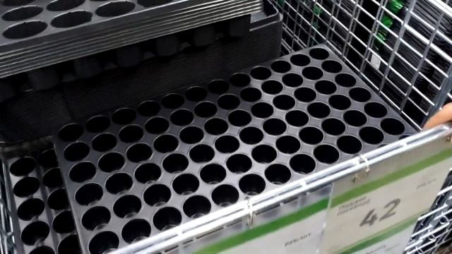 VLOG Изменения в парнике! Посеяла лук Шнитт - всходы! Кассета для пикировки земляники! 20.03.2020 смотреть онлайн