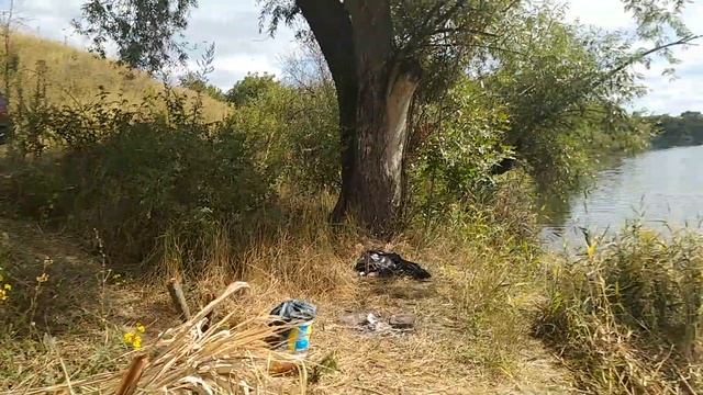 Отдых на речке и ловим рыбу руками . смотреть онлайн