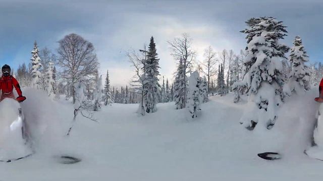По лесу на снегоходе в формате 360! смотреть онлайн