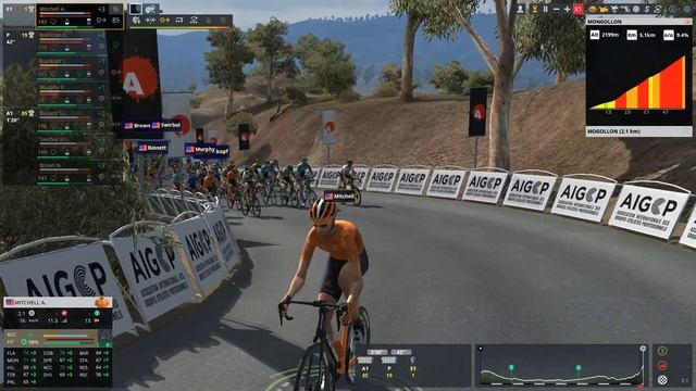 Pro Cycling Manager 2021 | Карьера #4 Дома даже прокачка быстрее смотреть онлайн