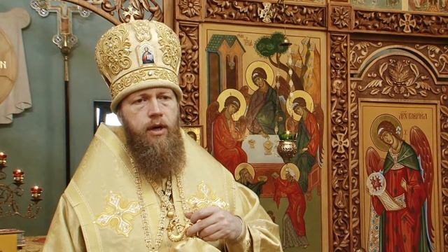 11 июня 2018 г. Слово епископа Воскресенского Саввы. смотреть онлайн