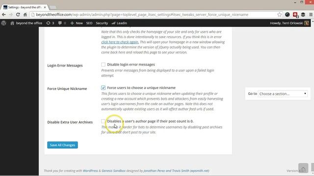 iThemes Security смотреть онлайн